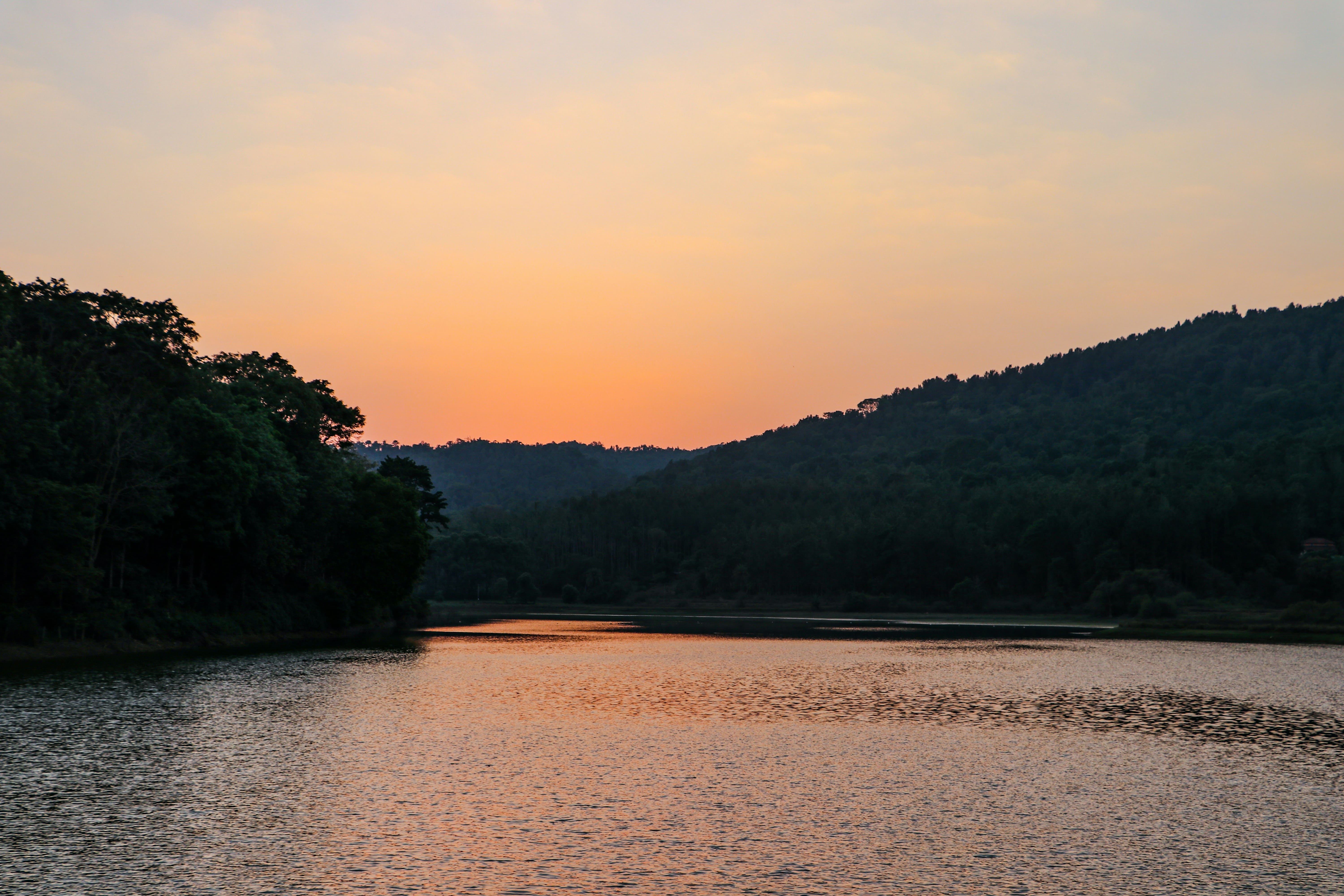 Karnataka Wildlife Packages